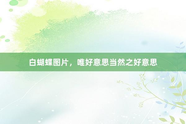 白蝴蝶图片，唯好意思当然之好意思